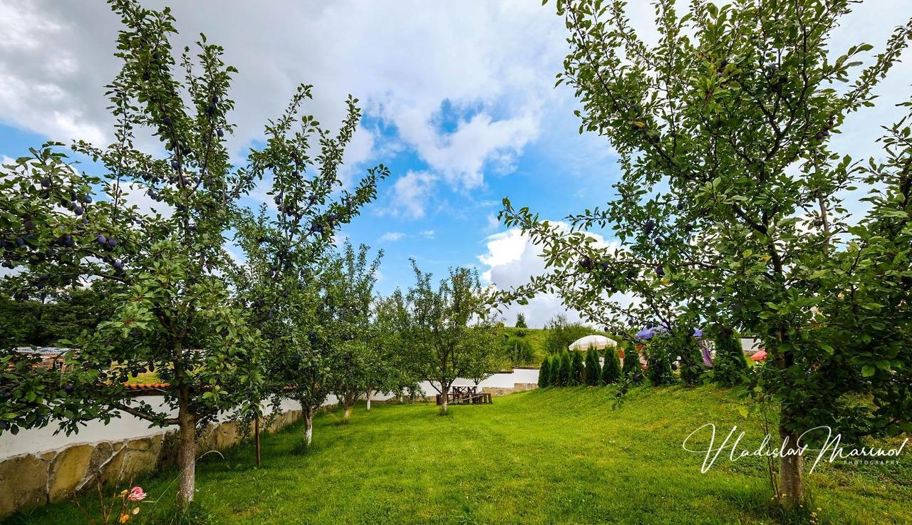 Bachvarovi Villas トリャブナ エクステリア 写真